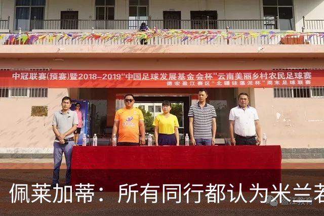 佩莱加蒂:所有同行都认为米兰若维持现有的阵容将会举步维艰