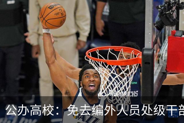 公办高校：免去编外人员处级干部职务