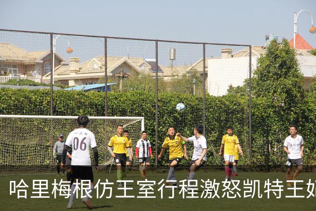 哈里梅根仿王室行程激怒凯特王妃，多年积怨爆发，坚持先问责