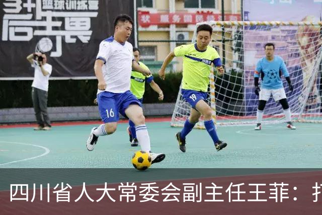 四川省人大常委会副主任王菲：打造辨识度高、示范性强的四川数智健康产业样板