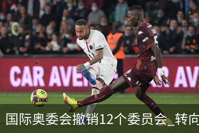 国际奥委会撤销12个委员会 转向更灵活工作组模式