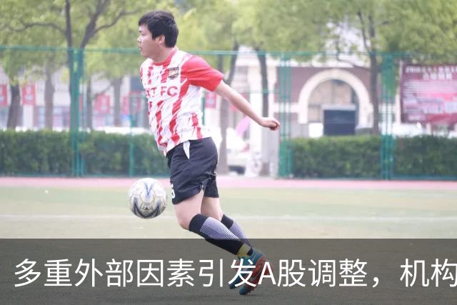 多重外部因素引发A股调整，机构热议：基本面支撑中长期配置价值