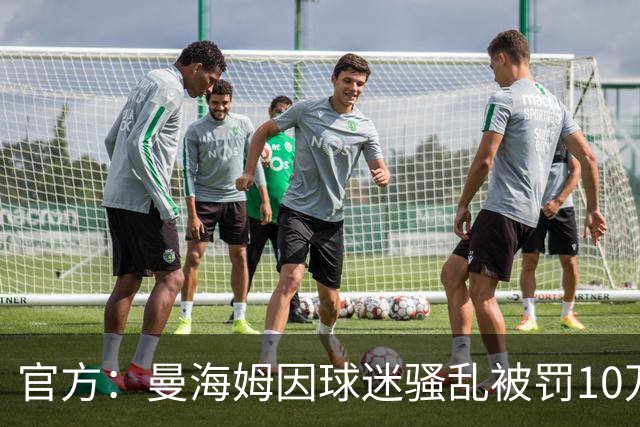 官方：曼海姆因球迷骚乱被罚10万欧，下一主场比赛部分看台关闭