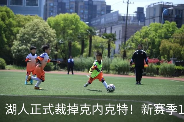 湖人正式裁掉克内克特！新赛季15+3阵容出炉：东契奇小里领衔