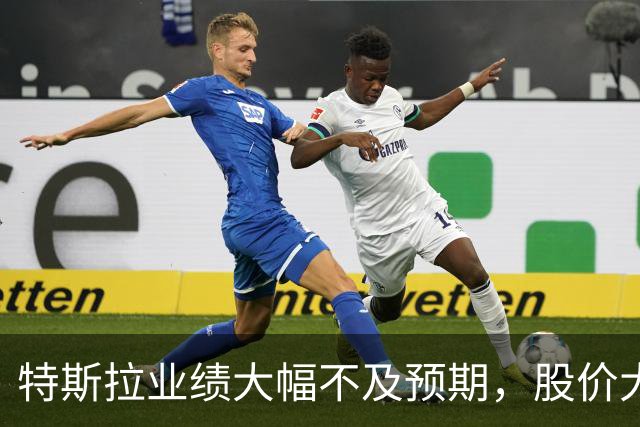 特斯拉业绩大幅不及预期,股价大跌