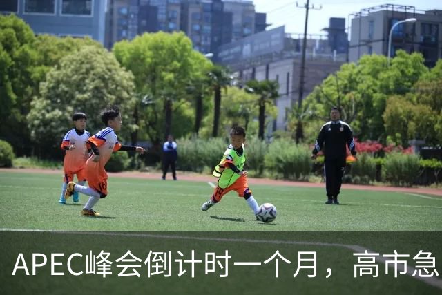 APEC峰会倒计时一个月，高市急不可耐，缺席的代价日本承受不住